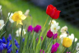 Настъпва астрономическата пролет