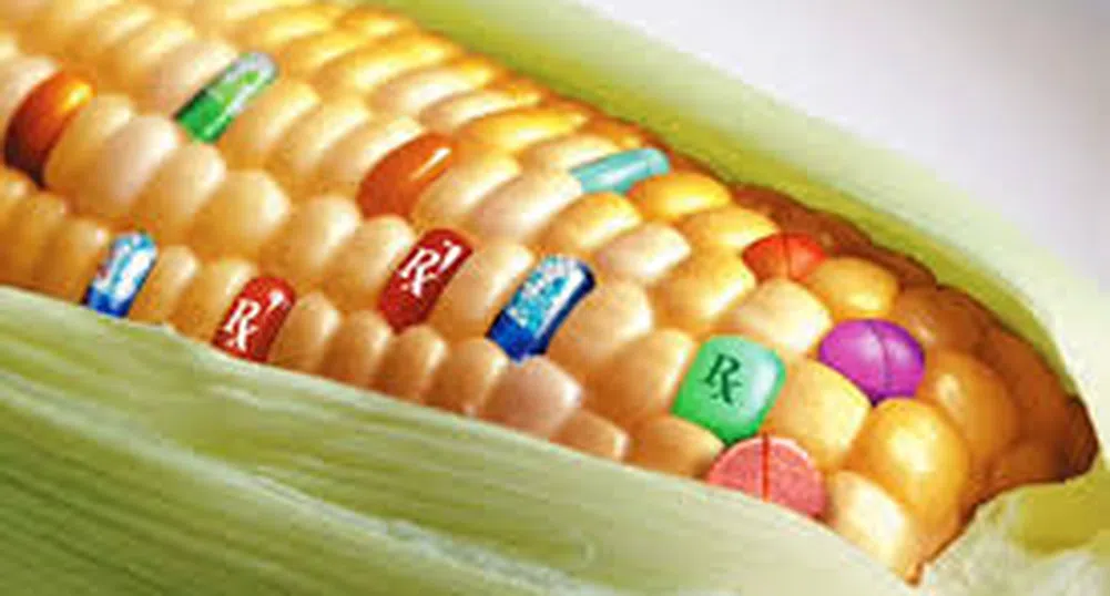 Monsanto се отказа от ГМО в Европа