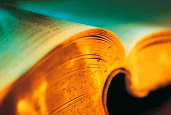 Думата на годината е...