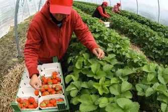 8.6% безработица у нас през първото тримесечие
