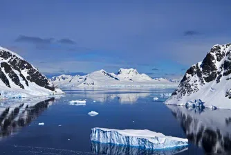 Шокираща на вид полярна мечка е пример за климатичните промени
