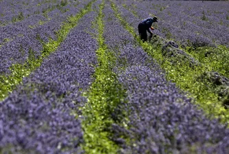 Още една класация, в която сме на първо място
