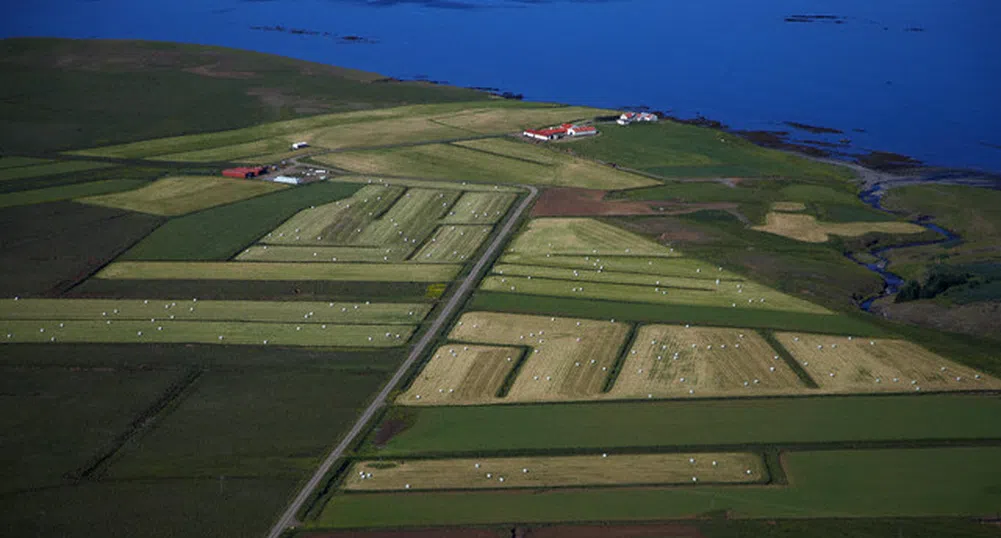 Още един фонд, инвестиращ в земя, разпределя дивидент