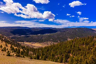 Земята навлиза в нов период на изчезване на видове