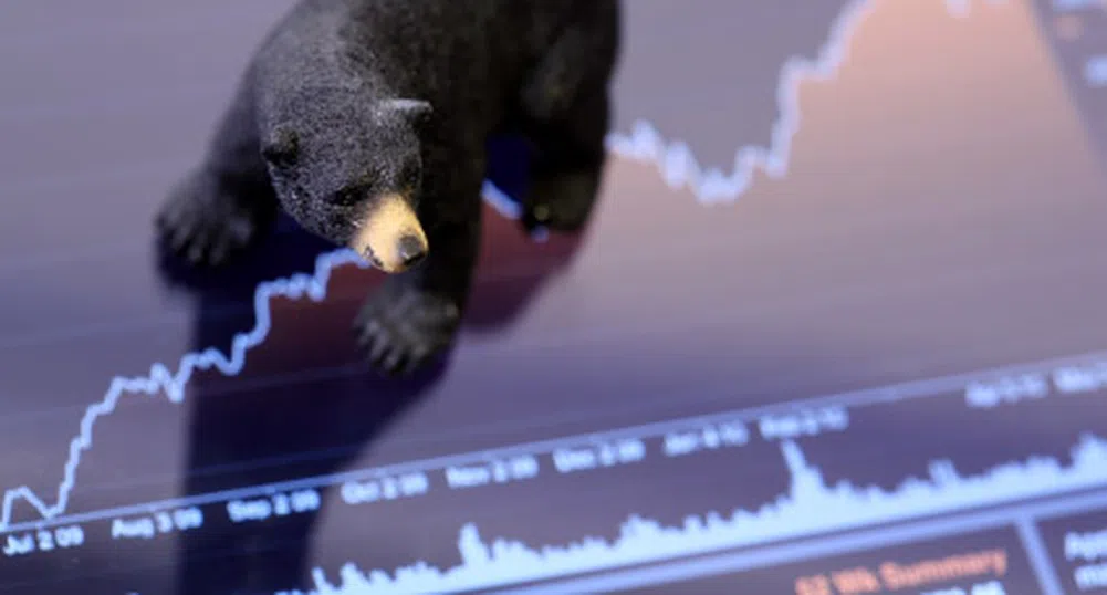 Мечки „нападнаха“ Енемона