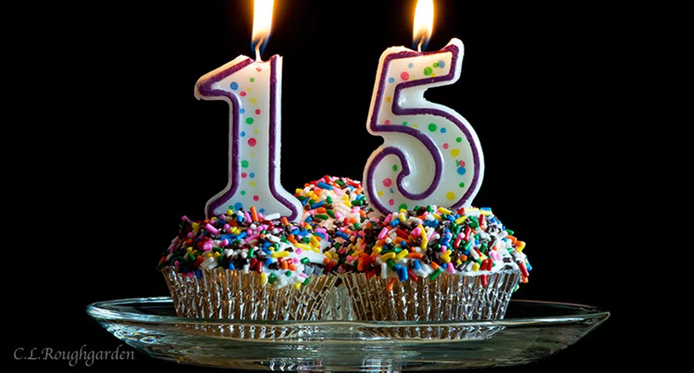 15 факта за SOFIX по случай 15-ия му рожден ден