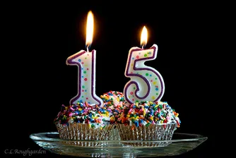 15 факта за SOFIX по случай 15-ия му рожден ден