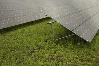 Соларпро ще става поръчител по кредит за дъщерни фирми