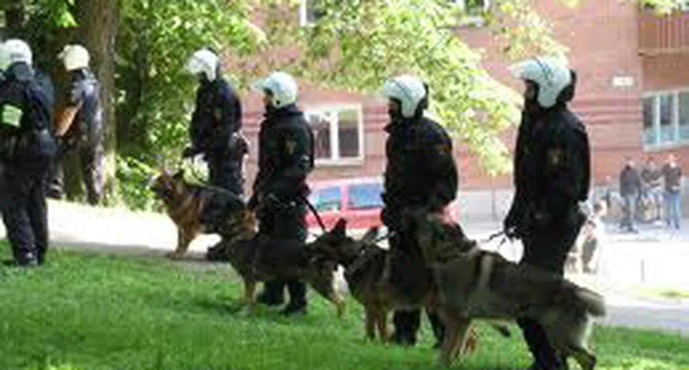 Полицейско куче пише доклад