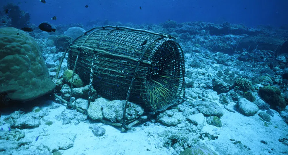 Морето не е за една ваканция