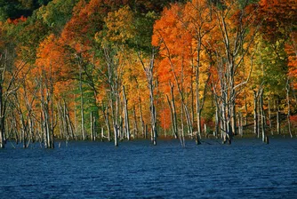 Притеснителни факти за водата в света