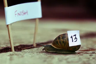 България 61-а в класацията къде е най-добре да се родиш през 2013 г.