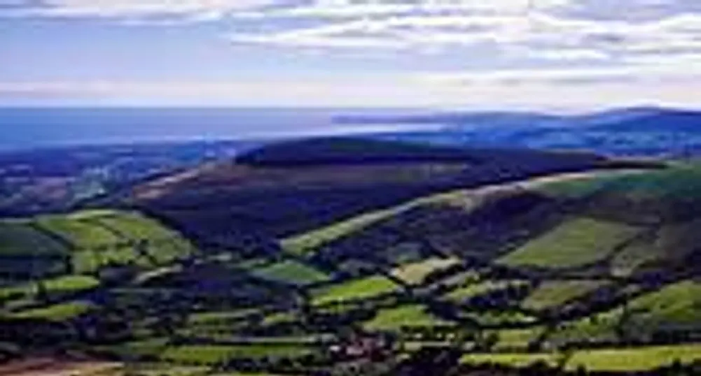 Възобновяват Програмата за развитие на селските райони