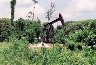 Новата страна членка на ОПЕК предпочита по-ниски цени на петрола