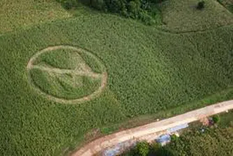 Протести в 250 града срещу най-големия производител на ГМО