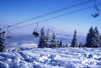 Осинови си пътека на Витоша