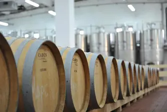 Винпром Пещера с 30% ръст в добива на грозде от собствени лозя