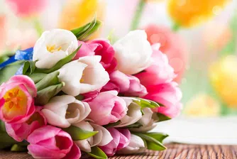 Чуждестранни традиции, които правят туристите за смях (2 част)