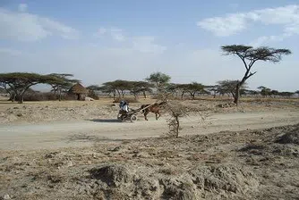 В пустинята на Етиопия се ражда нов океан