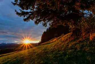 7 начина да превърнете сутрините в любимото време от деня