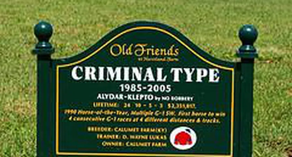 Броят на престъпленията определя цената на жилището