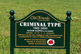 Броят на престъпленията определя цената на жилището