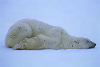 Най-тъпите цитати за глобалното затопляне