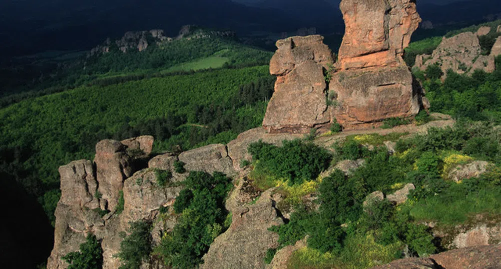 Над 1 милиард туристи в света за тази година