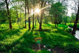 Вижте най-скъпото парче земя в Европа