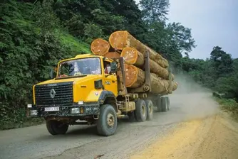 Азиатци инвестират 4.5 млрд. долара в Габон