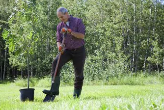 Банка ще сади дърво срещу всеки отпуснат кредит