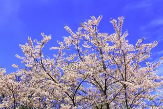 До 33 градуса ни очакват през май
