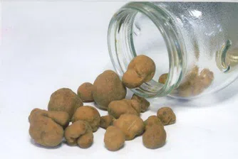 900 евро за килограм трюфели във Франция