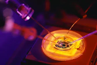 Intel купува McAfee за 7.68 млрд. долара