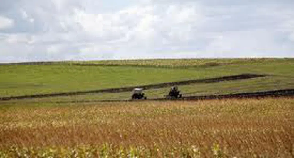 Рекордна сделка за земя сключиха в Пловдивско