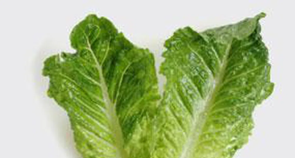 Листо от маруля струва на Карфур 20 000 евро