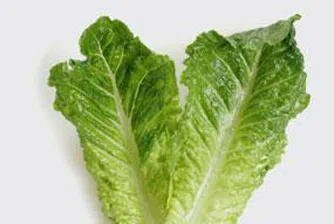 Листо от маруля струва на Карфур 20 000 евро