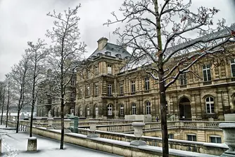 Първи сняг в Токио през ноември от 54 г. насам