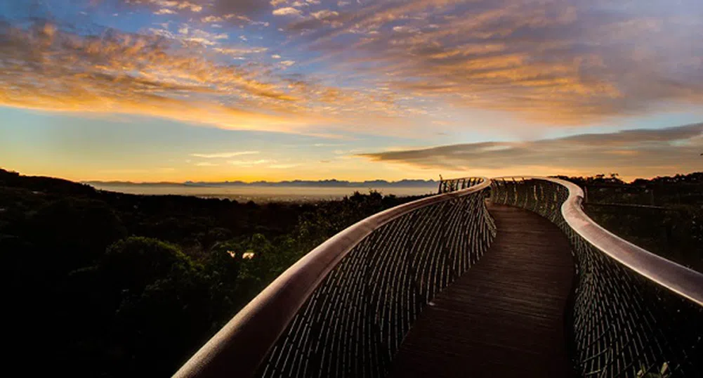 Разходка по пътя над дърветата