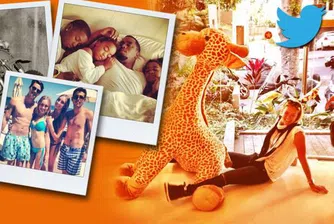 Пролетните снимки на звездите в Twitter