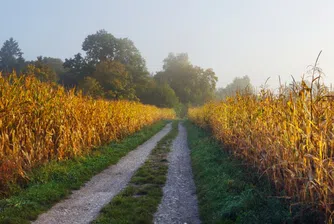 Адванс Терафонд е продало земеделски земи за над 11 млн. лева през първото тримесечие