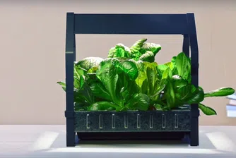 IKEA предлага  градини, в които да отглеждате храна целогодишно