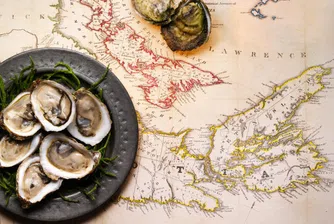 Топ 10 на най-полезната риба в света