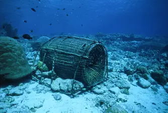 Земетресение в Черно море