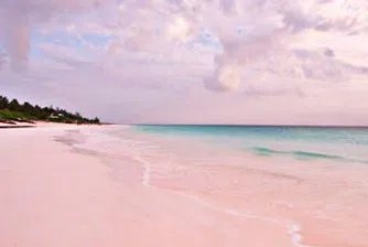 Най-странните плажове в света