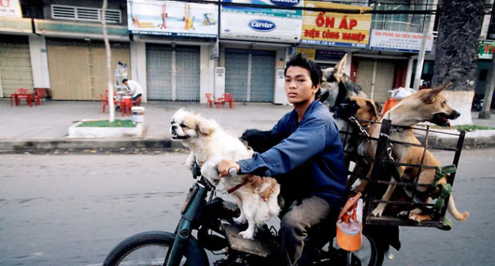 Колко товар можете да качите на един мотор?