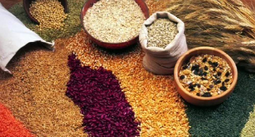 Зърнените култури са поскъпнали с 1.9%