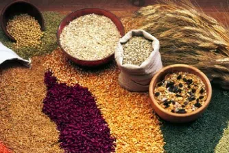 Зърнените култури са поскъпнали с 1.9%