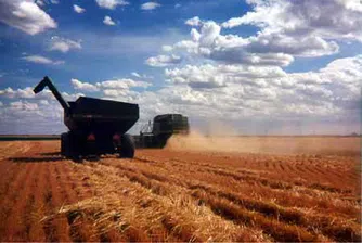 Зърнопроизводители на протест, искат оставката на Найденов