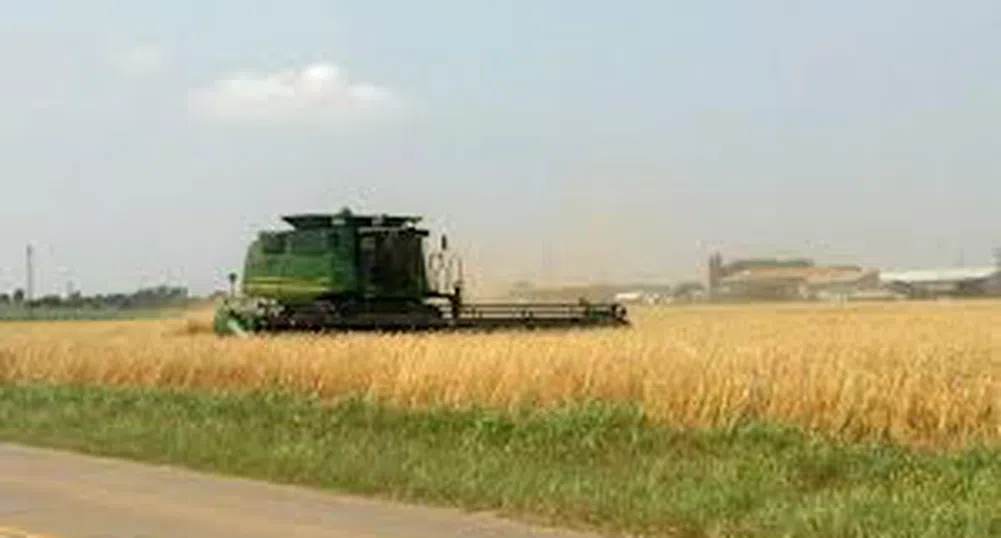 Отпускат авансово част от субсидията на земеделците